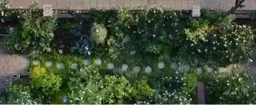 创意庭院超强植物阵容搭配插图