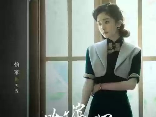 夜岚搭配什么阵容最强大插图