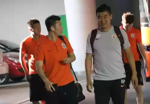泰山豪华阵容搭配插图3