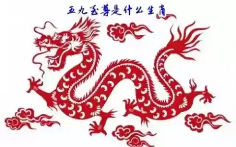 五九至尊阵容怎么搭配