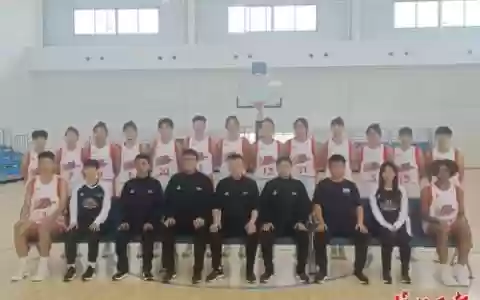 白鹤阵容怎么搭配