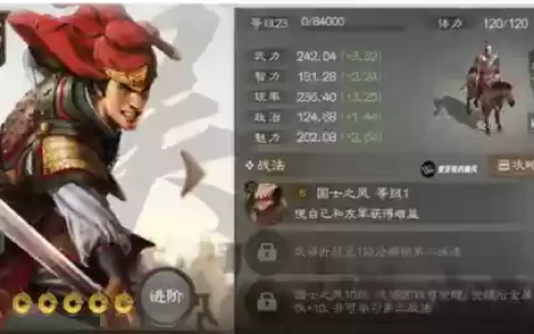 王牌辅助搭配什么阵容