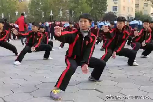练武之人搭配什么阵容插图1