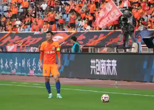 泰山豪华阵容搭配插图1