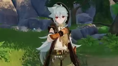 云堇搭配什么阵容和武器插图6