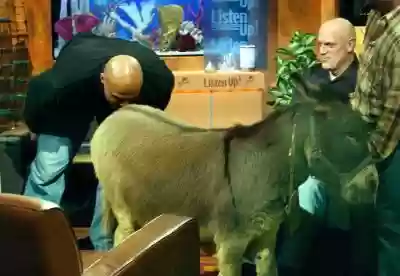 姚明应该怎么搭配阵容插图4
