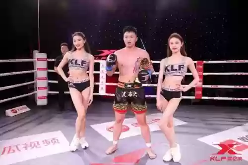 诸神之战全明星阵容搭配插图2