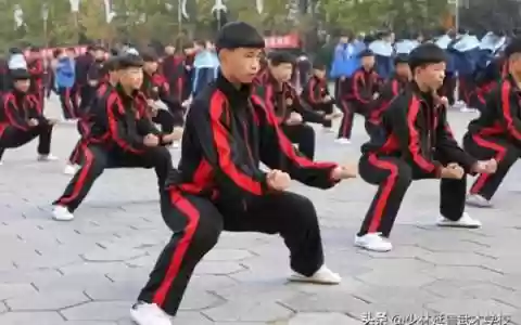 练武之人搭配什么阵容