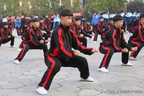 练武之人搭配什么阵容插图