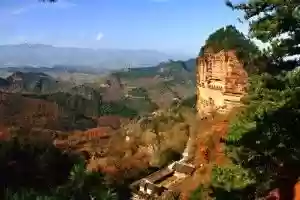 植物大战僵尸秦岭阵容搭配插图16