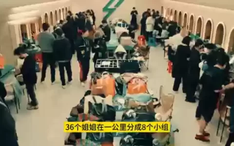 新区五开2022阵容搭配