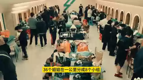 新区五开2022阵容搭配插图