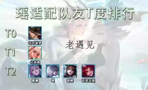 瑶和露娜搭配什么阵容插图