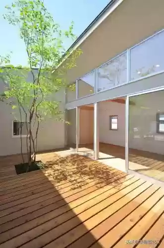 花园战争3植物阵容搭配插图7