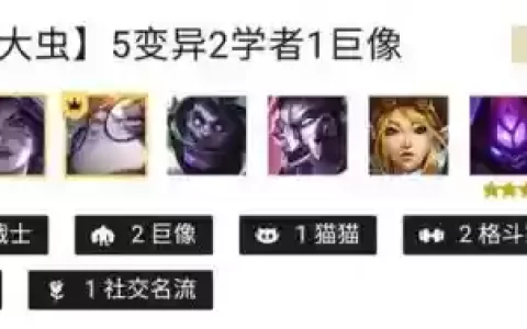 异变战士搭配阵容