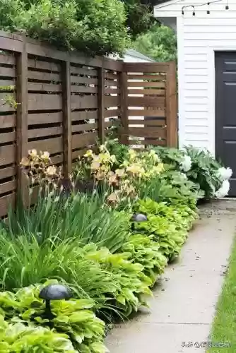 花园战争3植物阵容搭配插图15