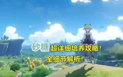 砂糖怎么搭配阵容