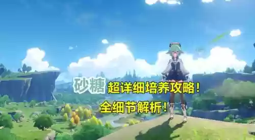 砂糖所有阵容搭配插图