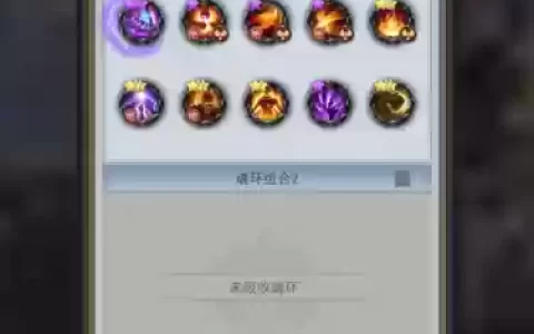 斗罗大陆双凤阵容怎么搭配