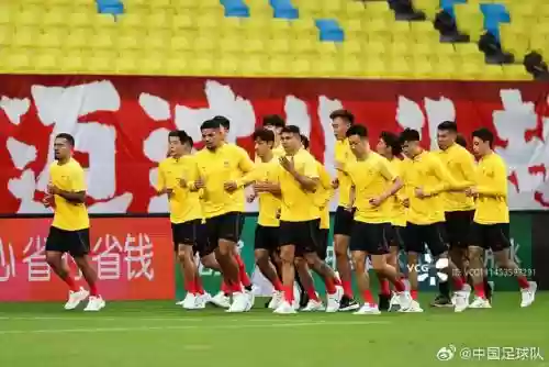 中国1 2叙利亚阵容搭配插图