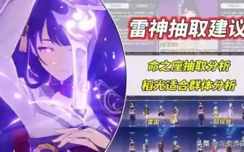 原神雷电将军5星阵容怎么搭配