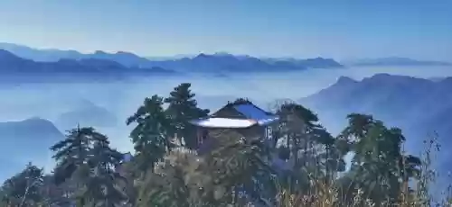 植物大战僵尸秦岭阵容搭配插图13