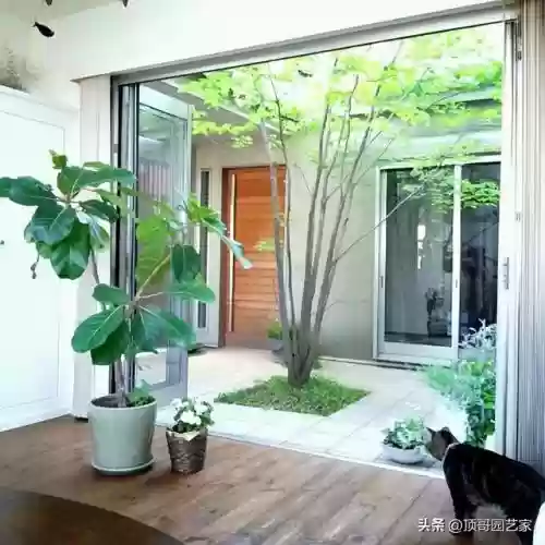 花园战争3植物阵容搭配插图1