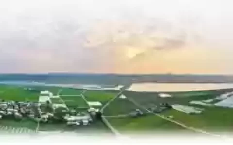 寻宗奇遇用什么阵容搭配