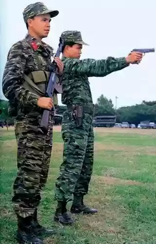 霸王雄心阵容怎么搭配插图3