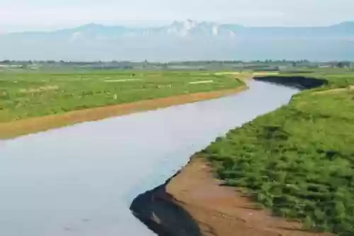 植物大战僵尸秦岭阵容搭配插图4