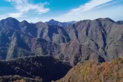 植物大战僵尸秦岭阵容搭配插图10