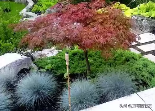 花园战争3植物阵容搭配插图10