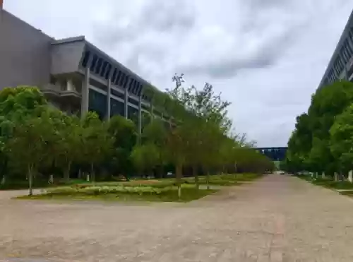 博士论文阵容搭配表怎么做插图5