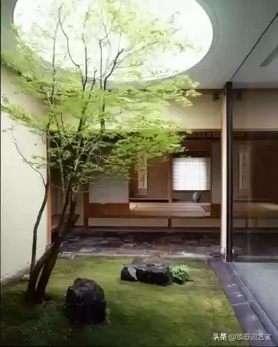 花园战争3植物阵容搭配插图6