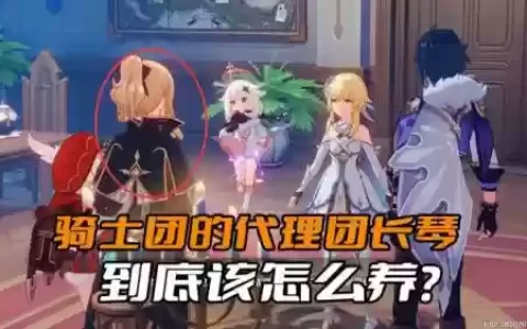 琴团长怎么搭配阵容