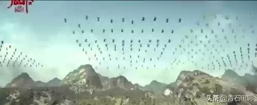 山海经异兽录会武阵容搭配插图3