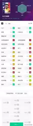 实况2009阵容搭配图插图5