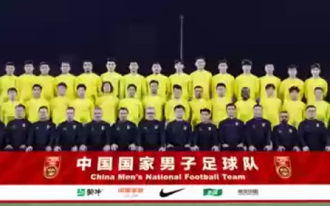 征召阵容搭配图表