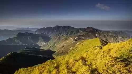 植物大战僵尸秦岭阵容搭配插图7
