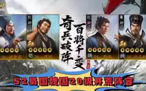 魏国阵容怎么搭配三国志2