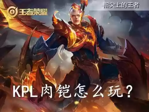 肉铠可以搭配什么阵容插图