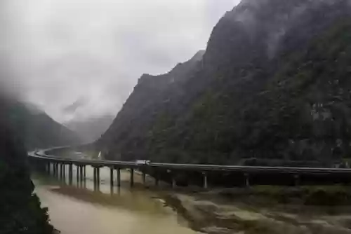 植物大战僵尸秦岭阵容搭配插图1