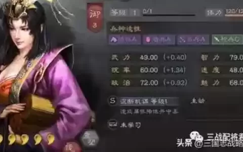 对战女王阵容怎么搭配