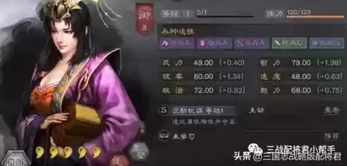 对战女王阵容怎么搭配插图