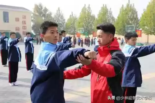 练武之人搭配什么阵容插图2