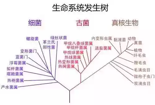 时代进化论手游怎么搭配阵容插图13