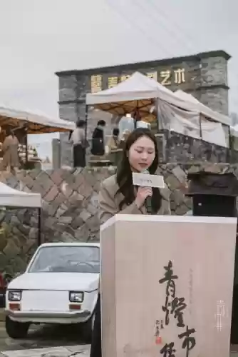 2020青灯阵容搭配插图20