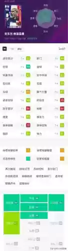 实况2009阵容搭配图插图6