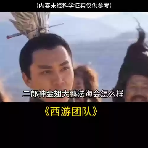 唐僧团队阵容搭配插图