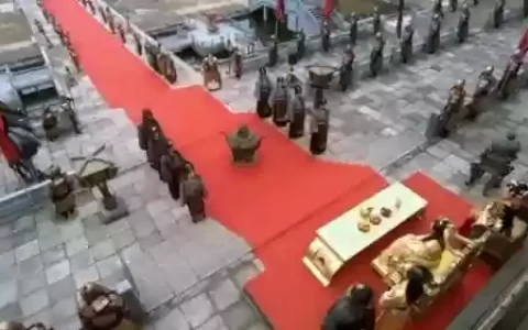 将军的阵容搭配